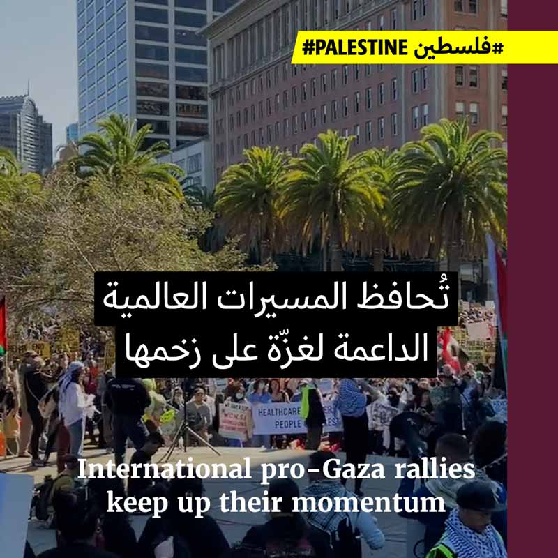 المسيرات العالمية الداعمة لفلسطين تتزايد